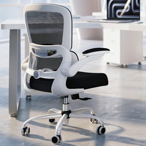 Ergonomic Desk Chair with Adjustable Lumbar Support